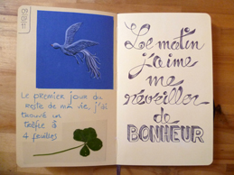 j'ai trouv un trfle  quatre feuilles