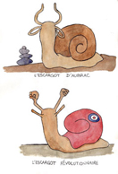 dessin d'escargots rigolos